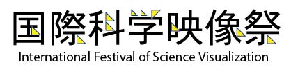 Organizing Committee for the International Festival of Science Visualization